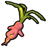 曼德拉草